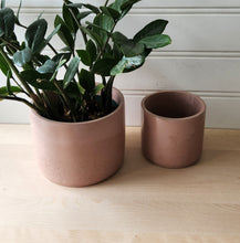 Load image into Gallery viewer, Cylinder Planter- 5&quot; and 7&quot; Blush
