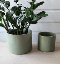 Load image into Gallery viewer, Cylinder Planter- 5&quot; and 7&quot; Olive
