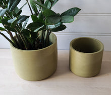 Load image into Gallery viewer, Cylinder Planter- 5&quot; and 7&quot; Chartreuse
