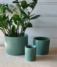 Load image into Gallery viewer, Cylinder Planter- 3&quot; 5&quot; 7&quot; Emerald Coast
