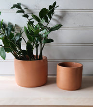 Load image into Gallery viewer, Cylinder Planter- 5&quot; and 7&quot; Terracotta
