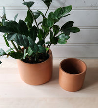 Load image into Gallery viewer, Cylinder Planter- 5&quot; and 7&quot; Terracotta
